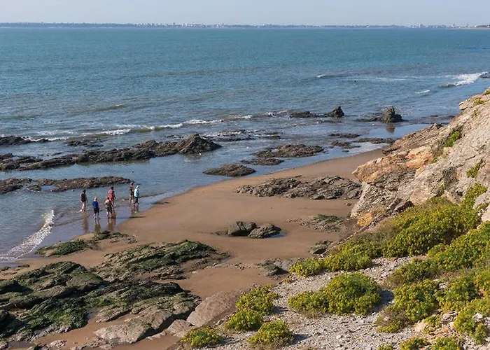 Mobil-home Avec Terrasse A - Api-1-52-504